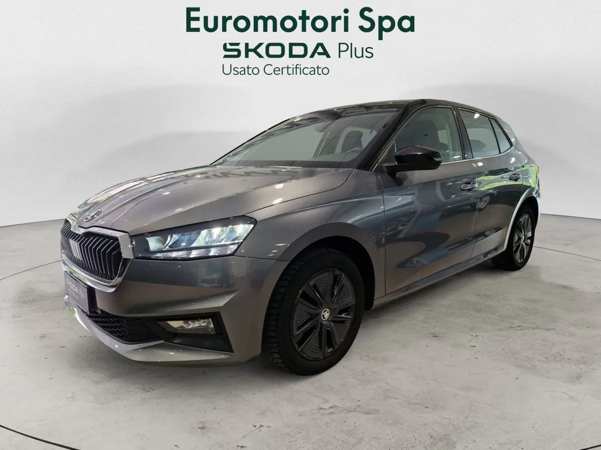 Skoda Fabia usata a Siena