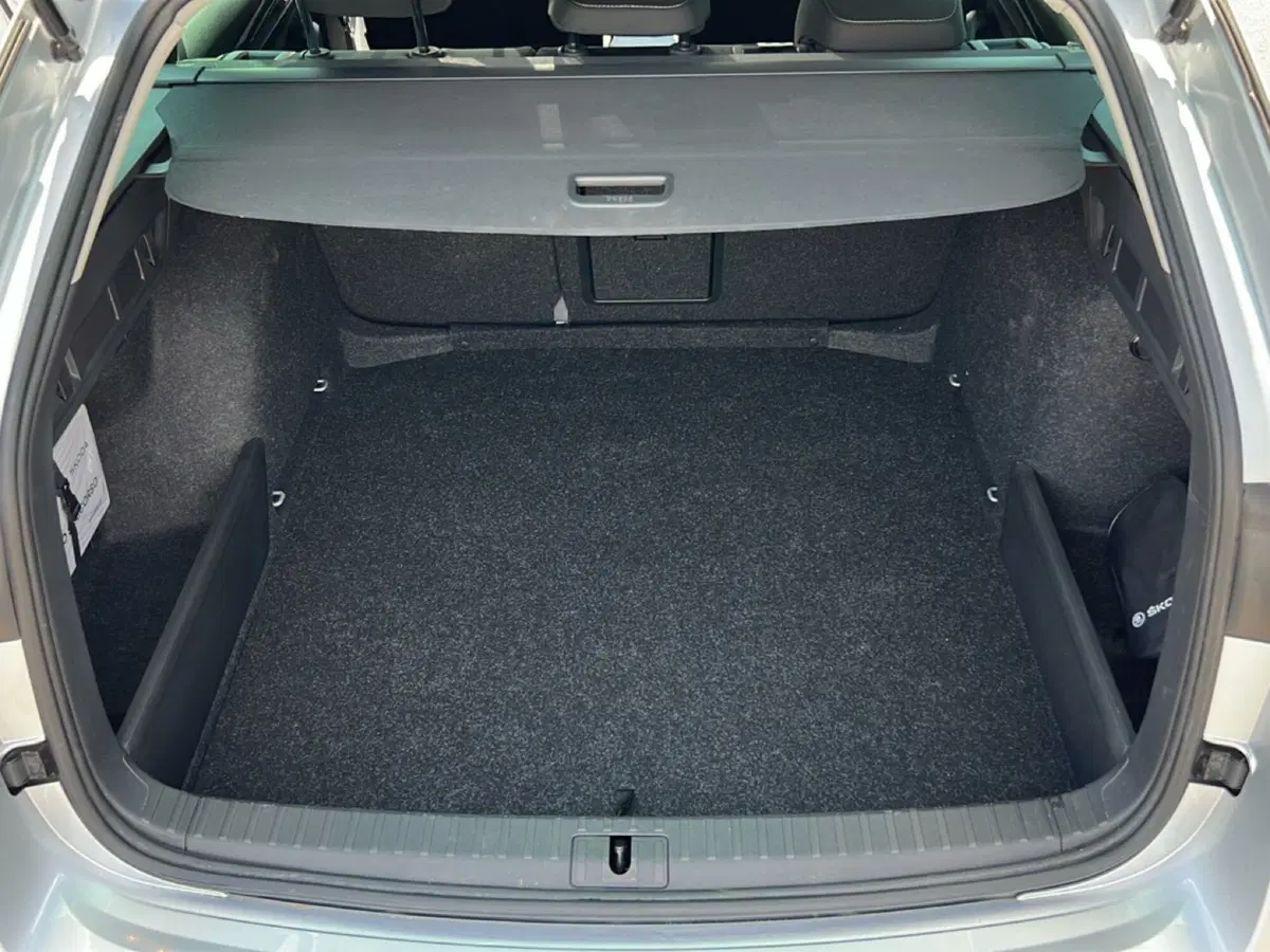 Skoda Octavia Station Wagon usata a Siena (10)