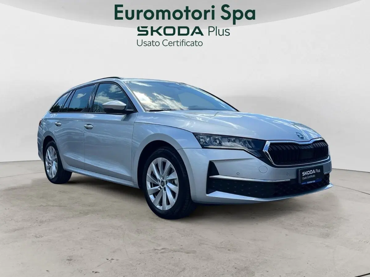 Skoda Octavia Station Wagon usata a Siena (7)
