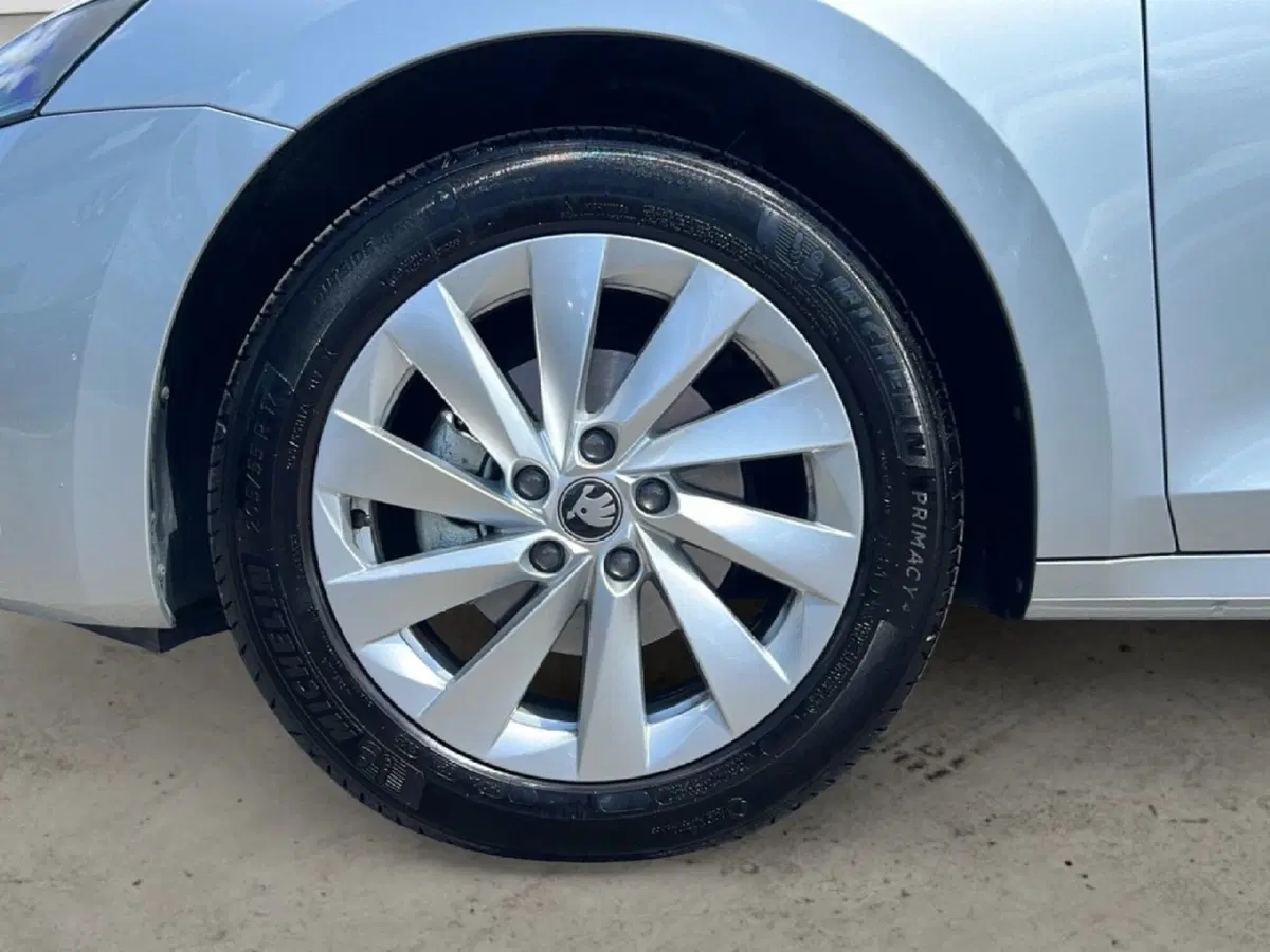 Skoda Octavia Station Wagon usata a Siena (9)
