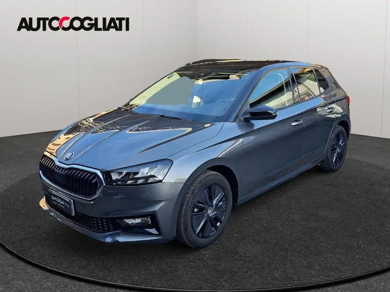 Skoda Fabia usata a Lecco