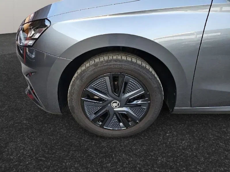 Skoda Fabia usata a Lecco (12)