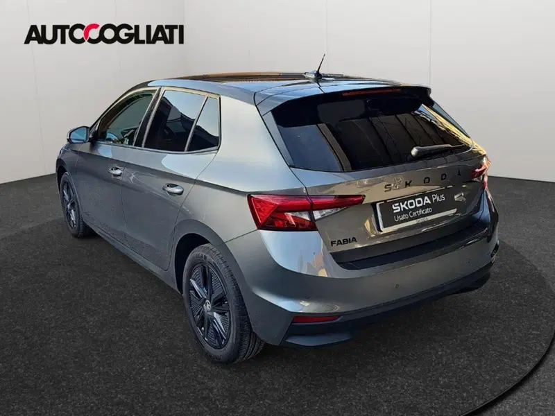 Skoda Fabia usata a Lecco (6)
