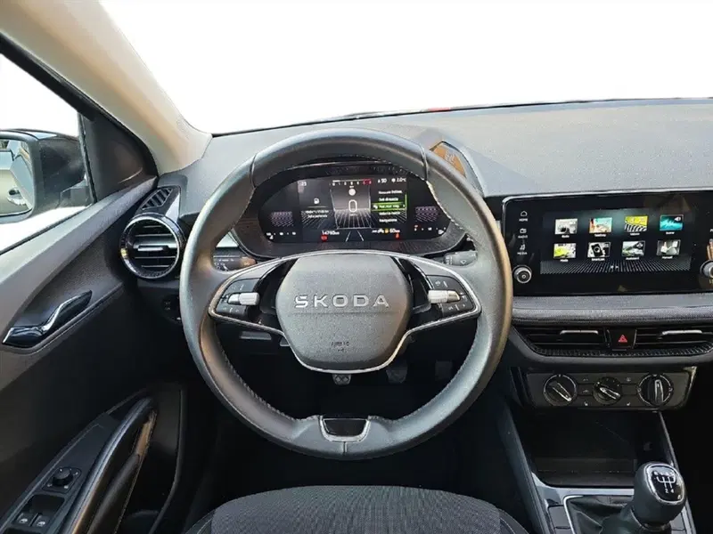 Skoda Fabia usata a Lecco (9)