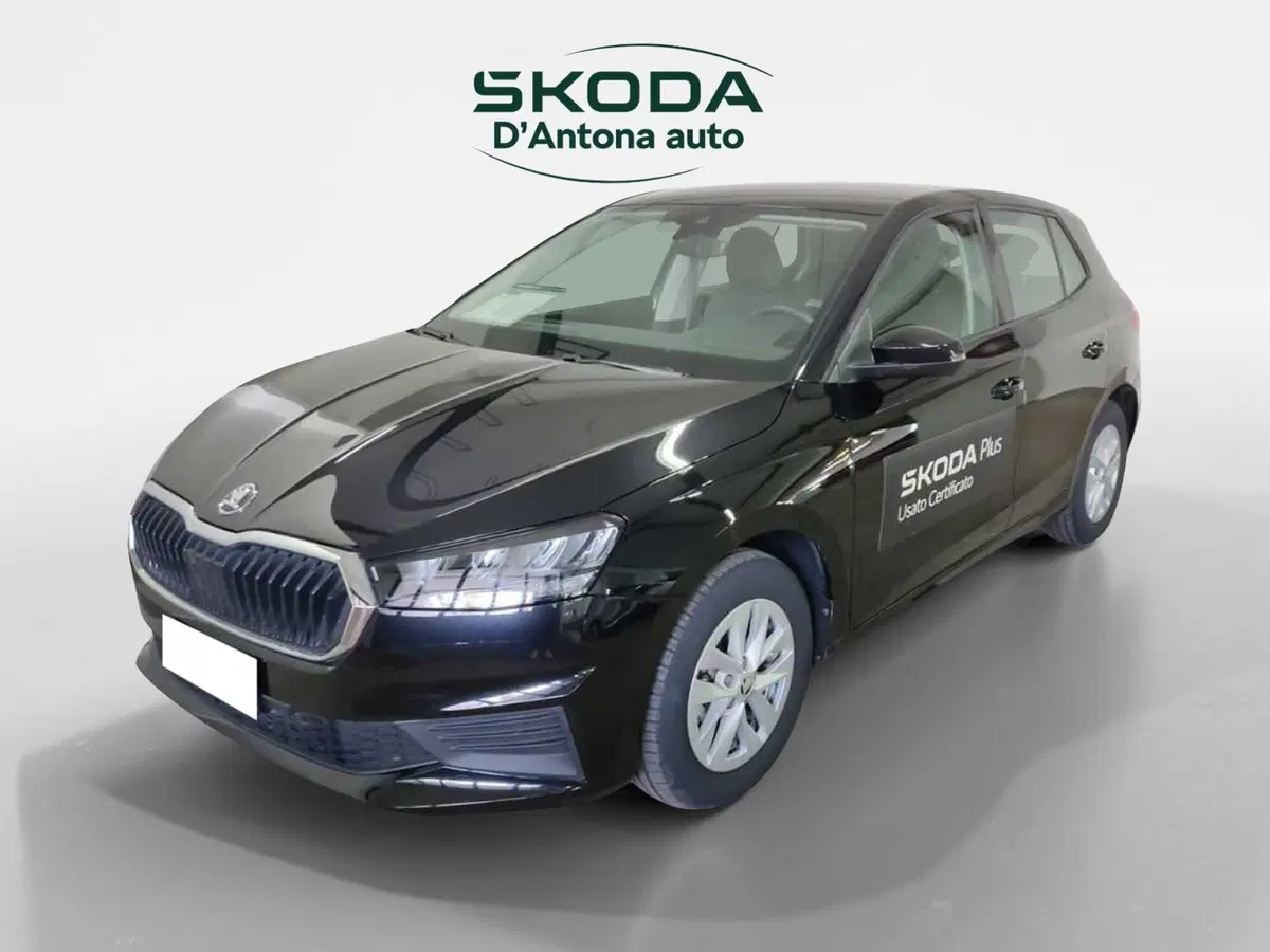 Skoda Fabia usata a Taranto (10)