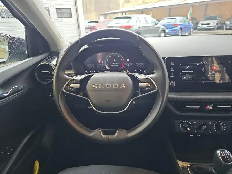 Skoda Fabia usata a Lecco (10)
