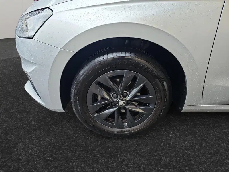 Skoda Fabia usata a Lecco (16)