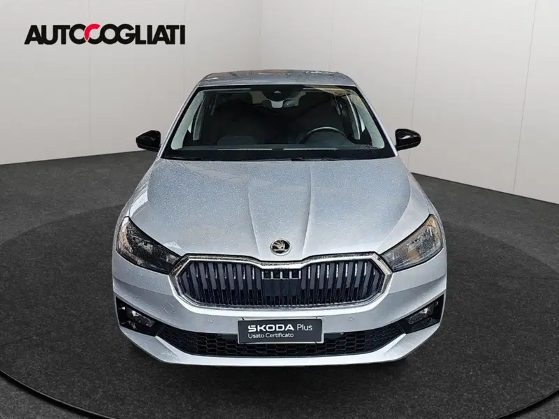 Skoda Fabia usata a Lecco (2)