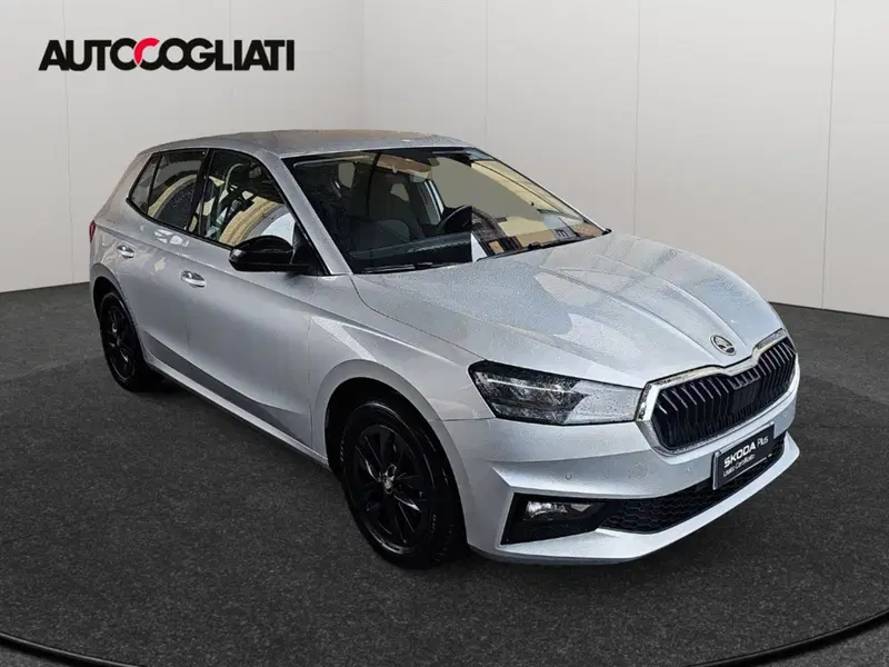 Skoda Fabia usata a Lecco (3)