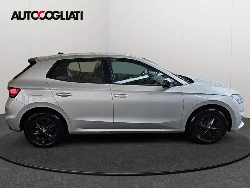 Skoda Fabia usata a Lecco (4)