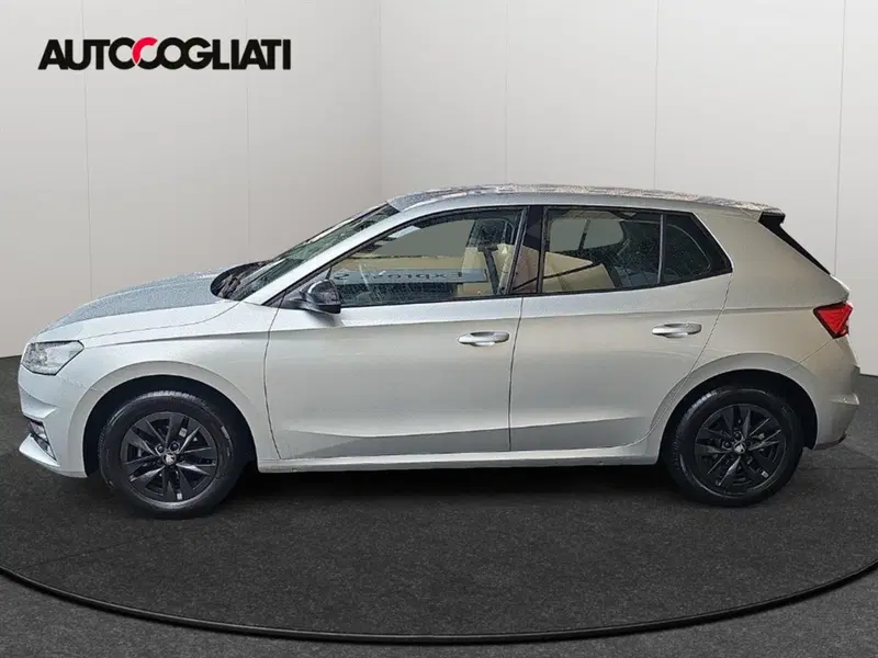 Skoda Fabia usata a Lecco (5)
