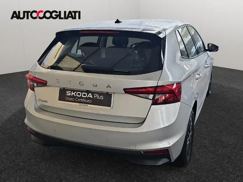 Skoda Fabia usata a Lecco (6)