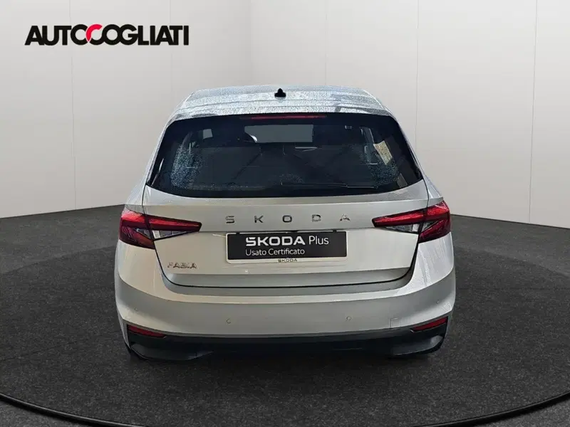 Skoda Fabia usata a Lecco (8)