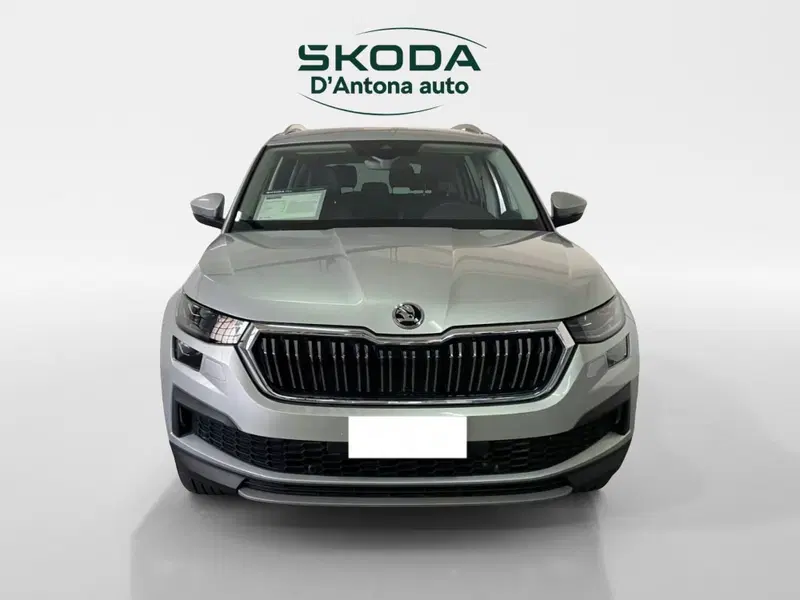 Skoda Kodiaq usata a Taranto (2)