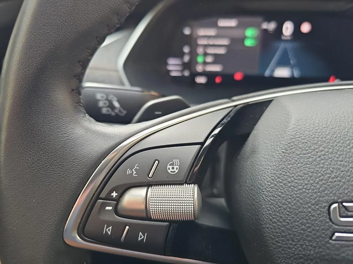 Skoda Octavia Station Wagon usata a Lecco (16)