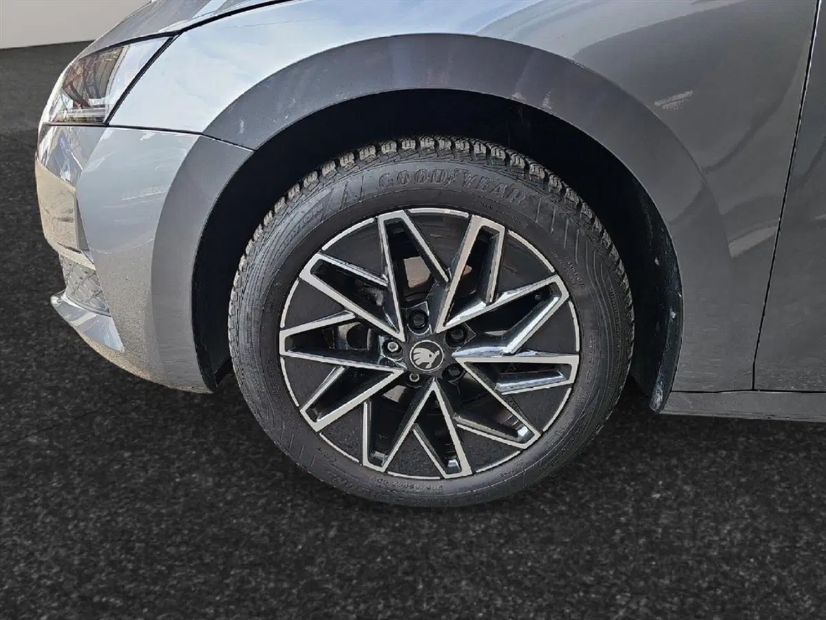 Skoda Octavia Station Wagon usata a Lecco (19)