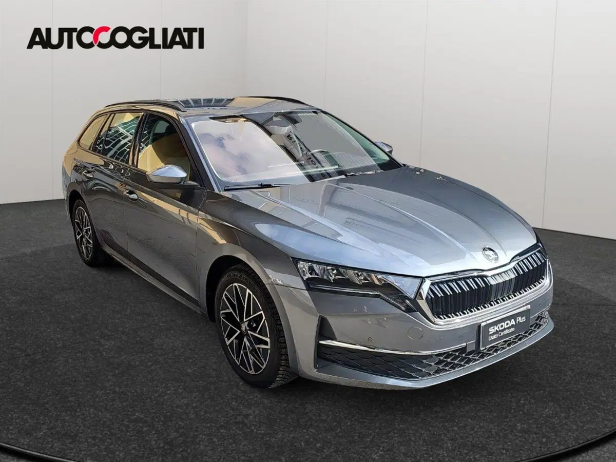 Skoda Octavia Station Wagon usata a Lecco (3)