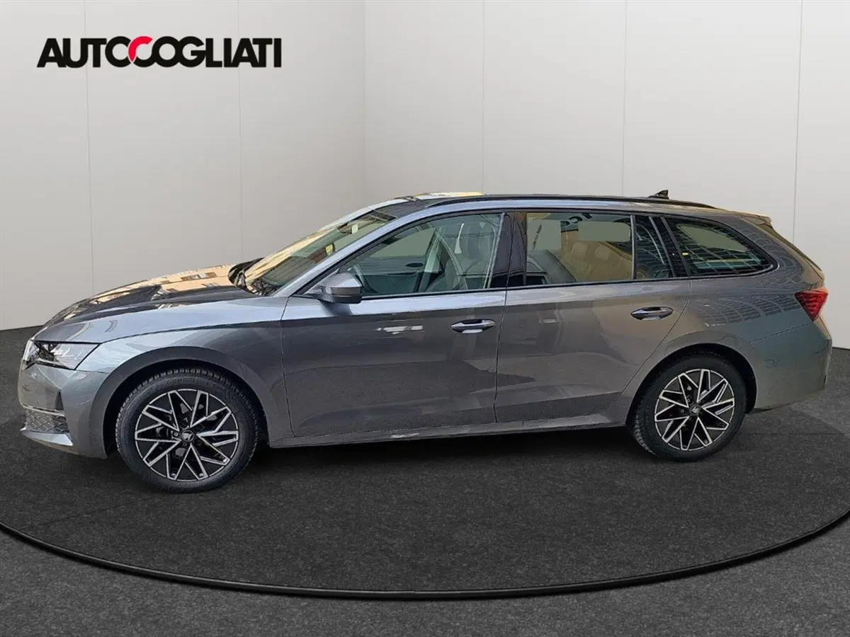 Skoda Octavia Station Wagon usata a Lecco (7)