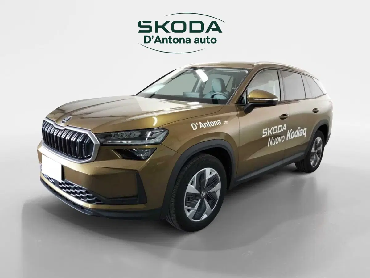 Skoda Kodiaq nuova a Taranto (11)