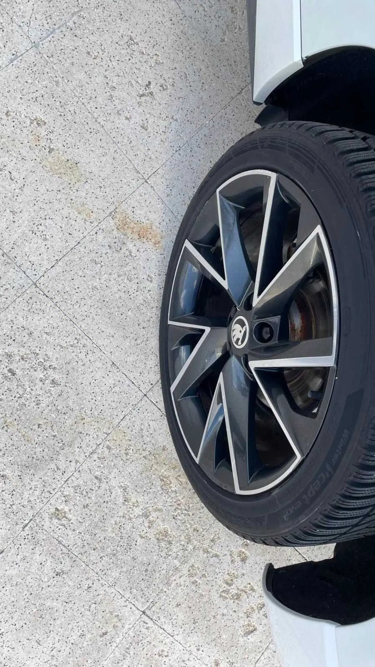 Skoda Karoq usata a Taranto (13)