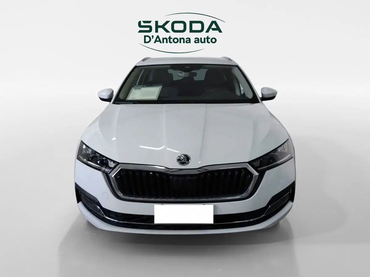 Skoda Octavia Station Wagon usata a Taranto (3)