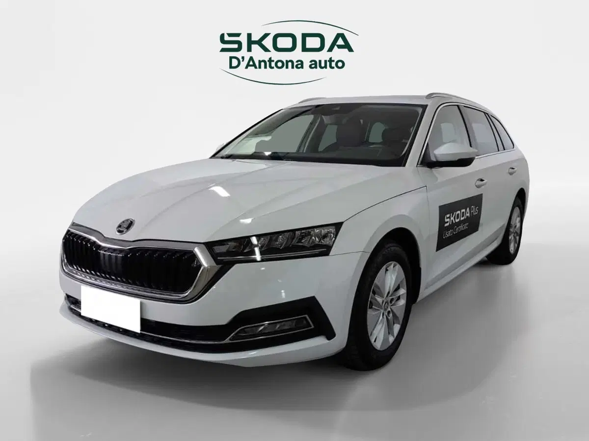 Skoda Octavia Station Wagon usata a Taranto (6)