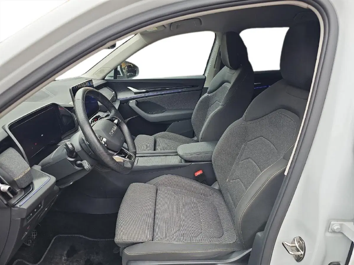 Skoda Kodiaq usata a Lecco (11)