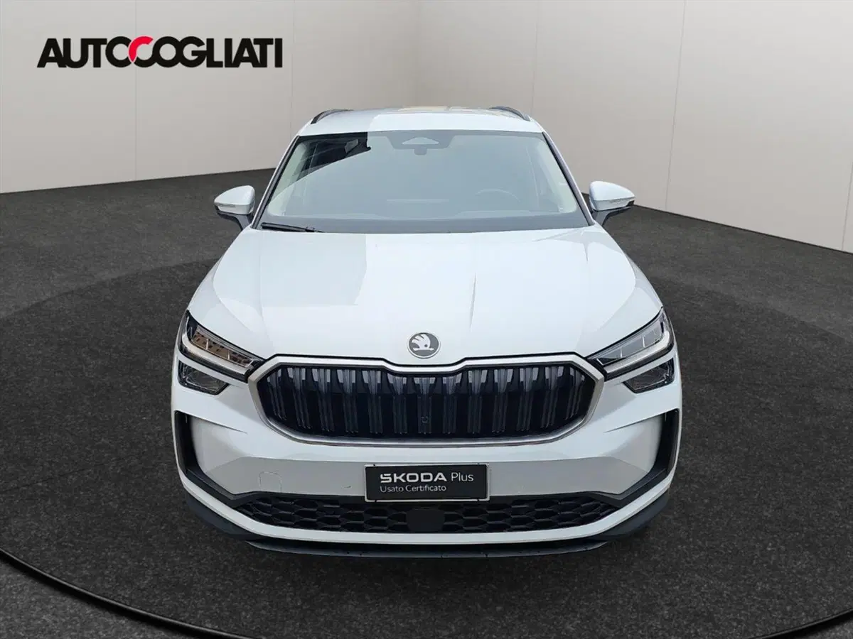 Skoda Kodiaq usata a Lecco (2)