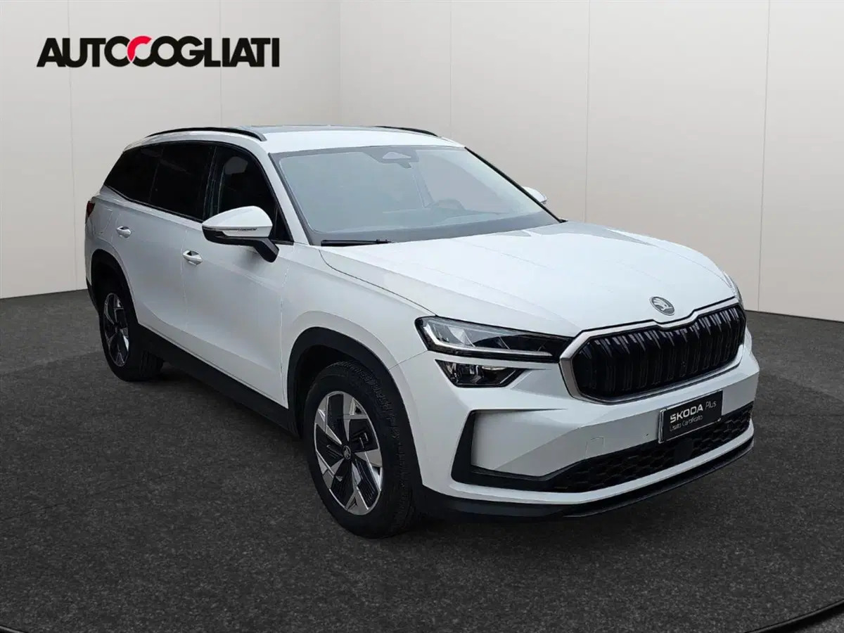 Skoda Kodiaq usata a Lecco (3)