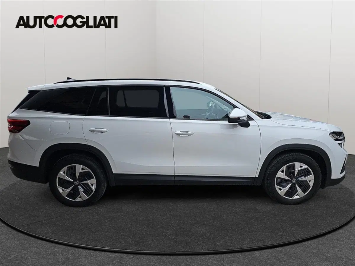 Skoda Kodiaq usata a Lecco (4)