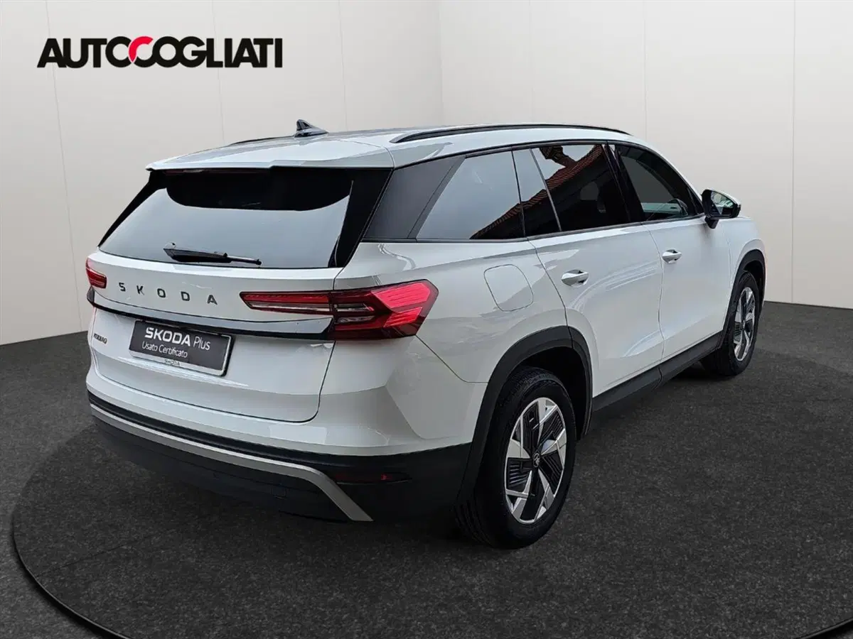 Skoda Kodiaq usata a Lecco (5)