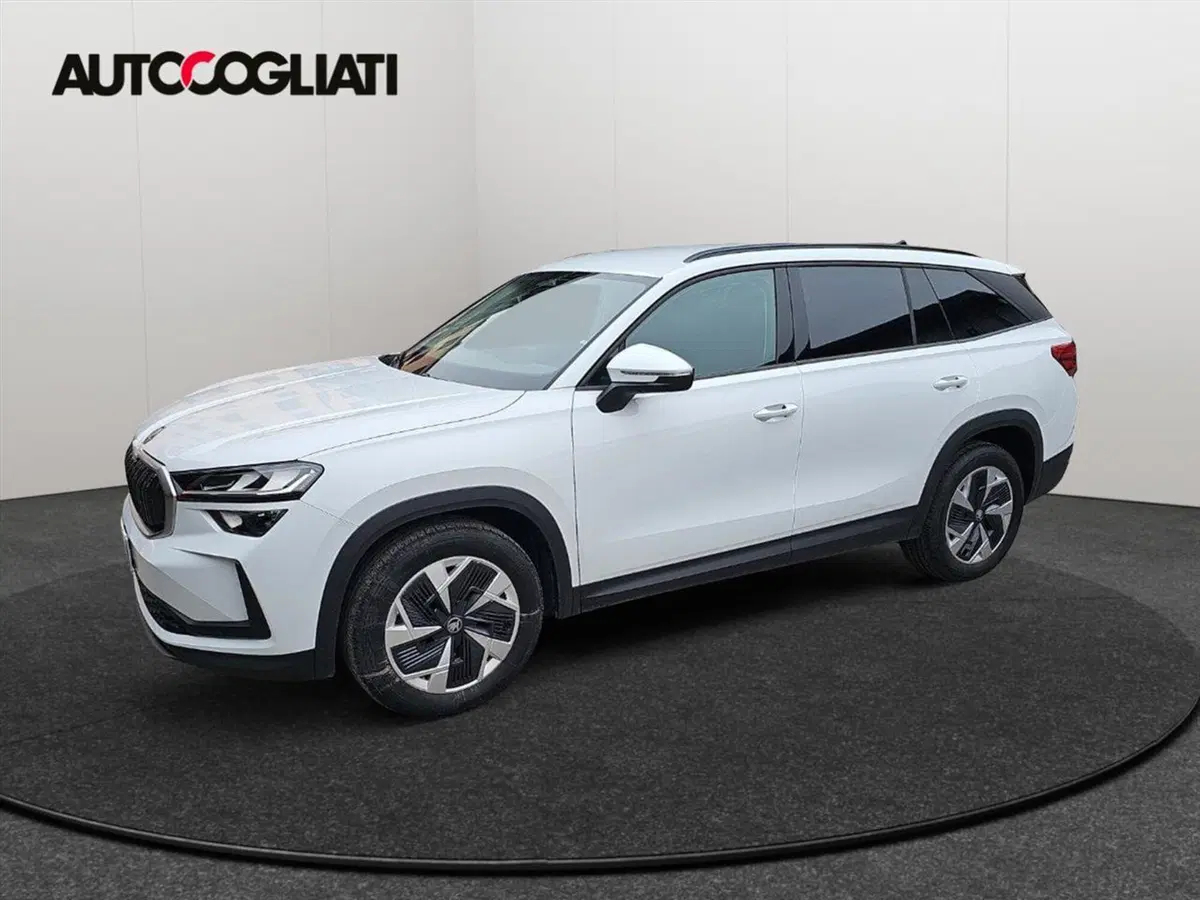 Skoda Kodiaq usata a Lecco (7)