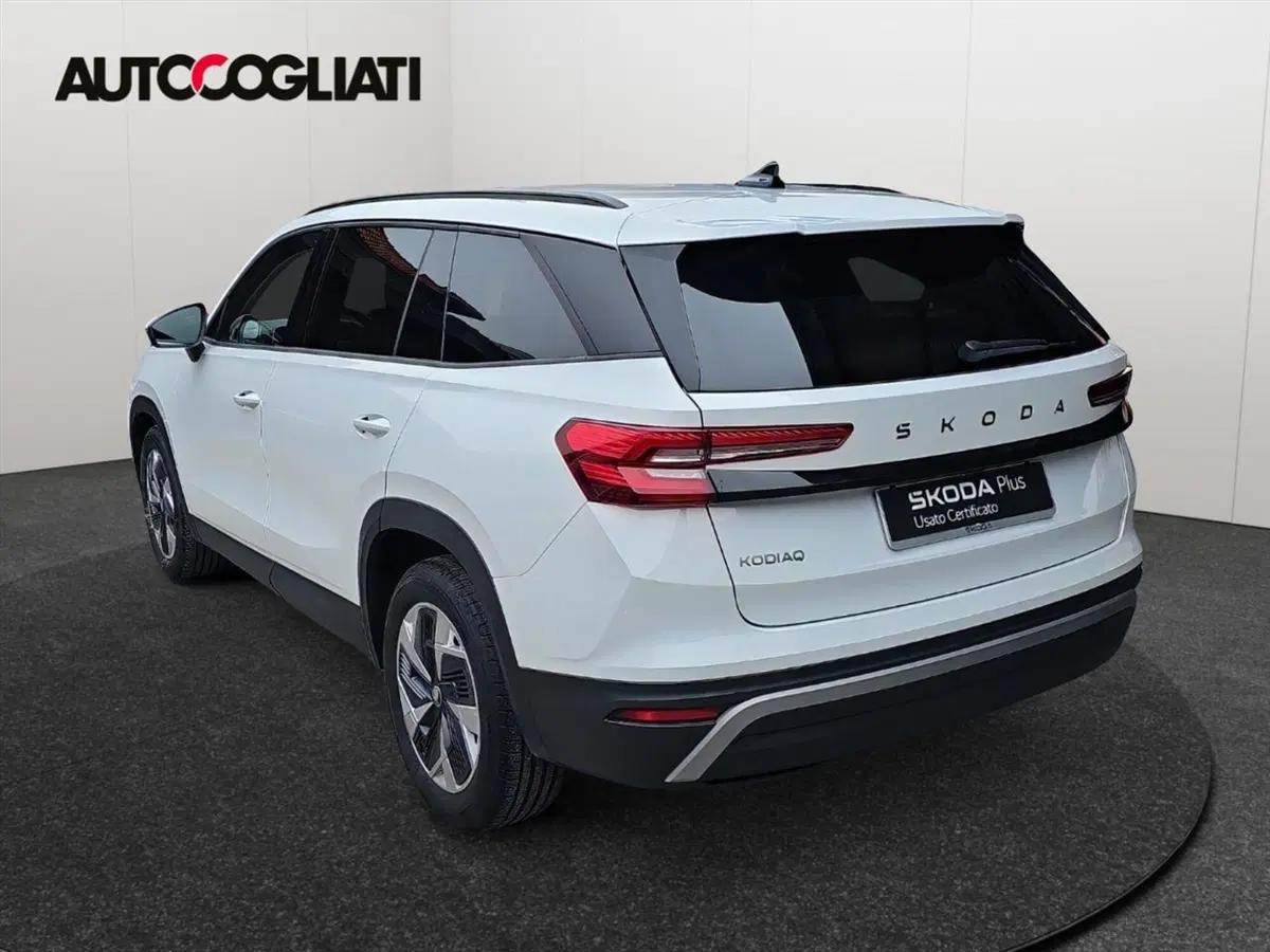 Skoda Kodiaq usata a Lecco (8)