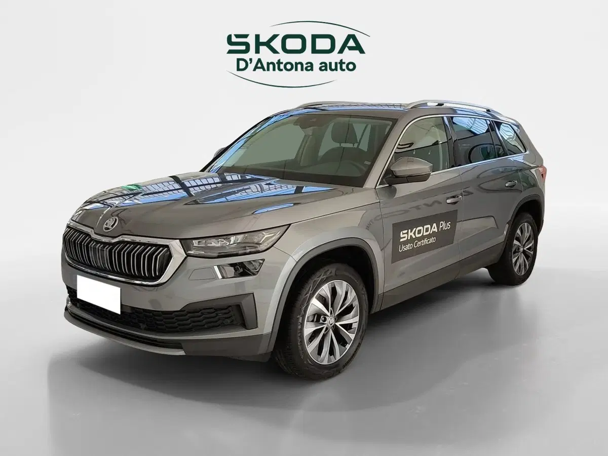 Skoda Kodiaq usata a Taranto (3)