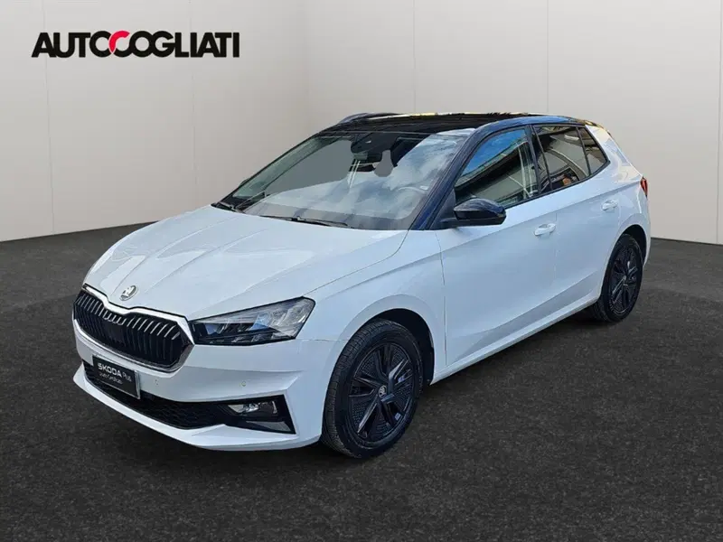 Skoda Fabia usata a Lecco