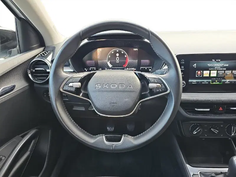 Skoda Fabia usata a Lecco (10)