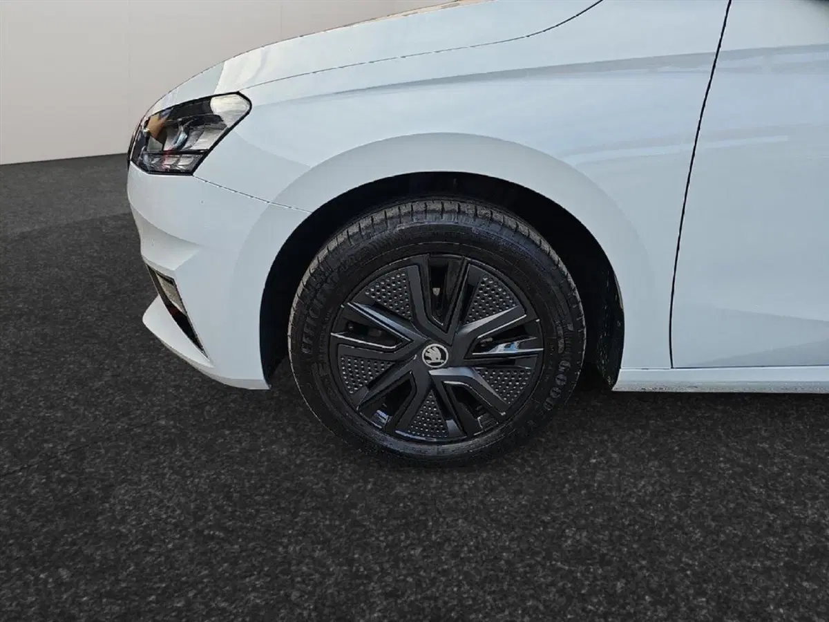 Skoda Fabia usata a Lecco (18)
