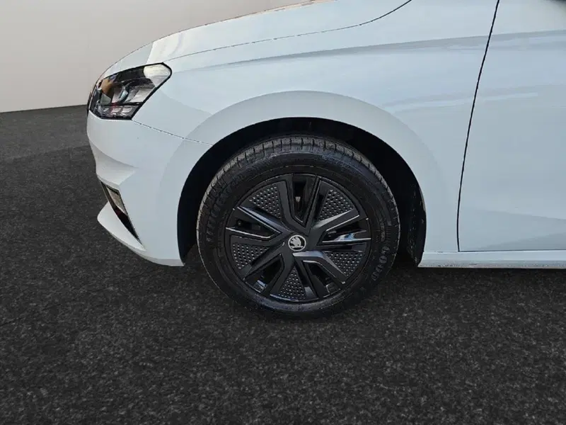 Skoda Fabia usata a Lecco (18)