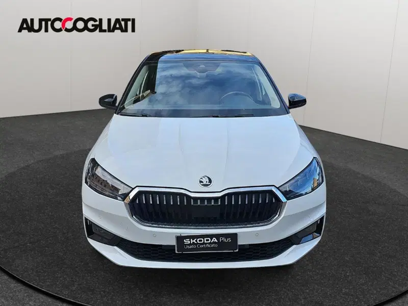Skoda Fabia usata a Lecco (2)