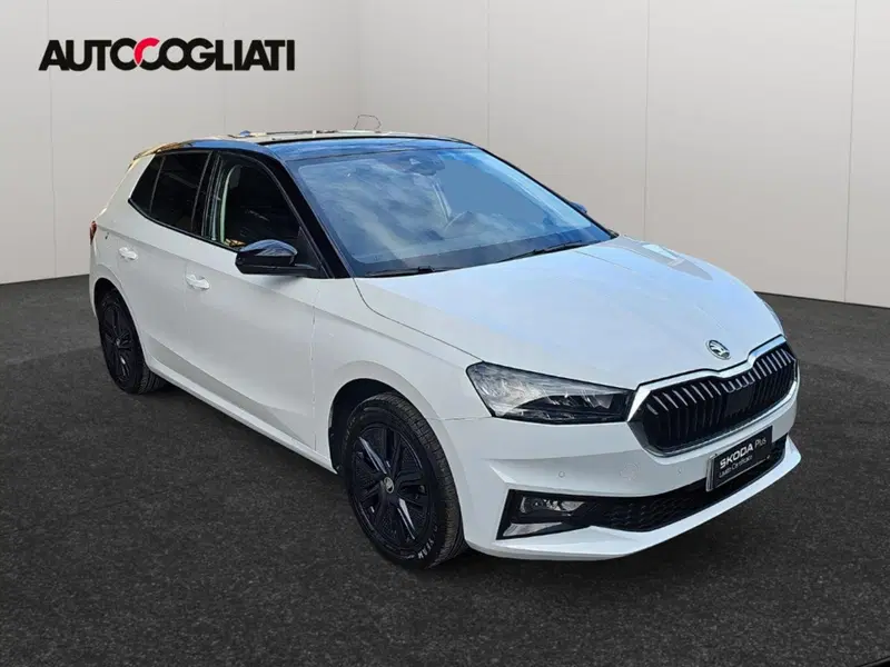 Skoda Fabia usata a Lecco (3)