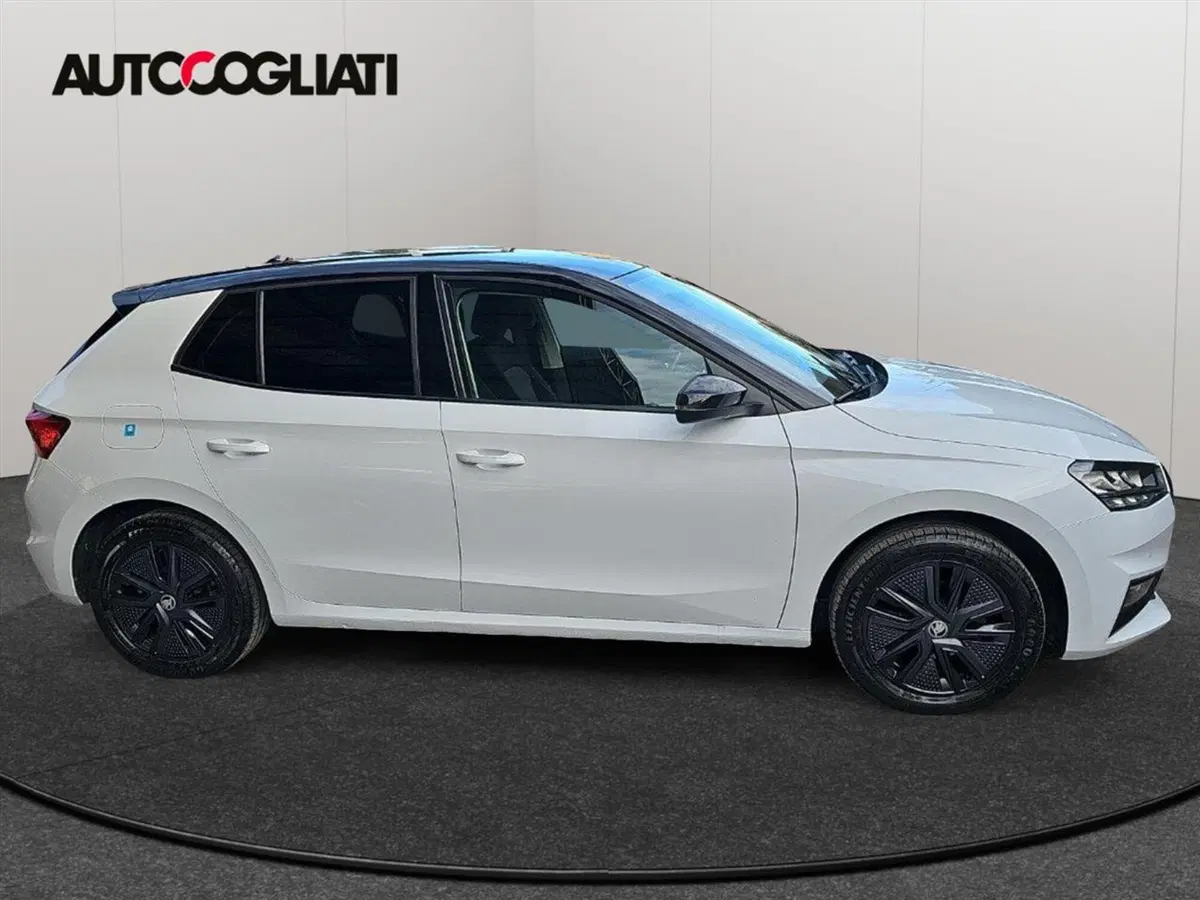 Skoda Fabia usata a Lecco (4)