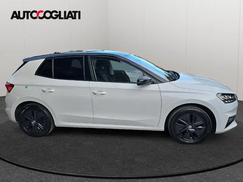 Skoda Fabia usata a Lecco (4)