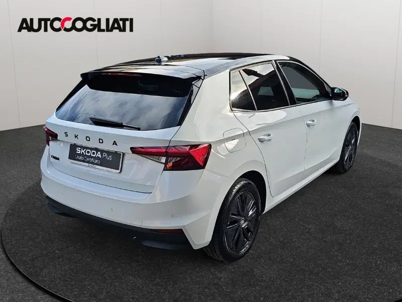 Skoda Fabia usata a Lecco (5)