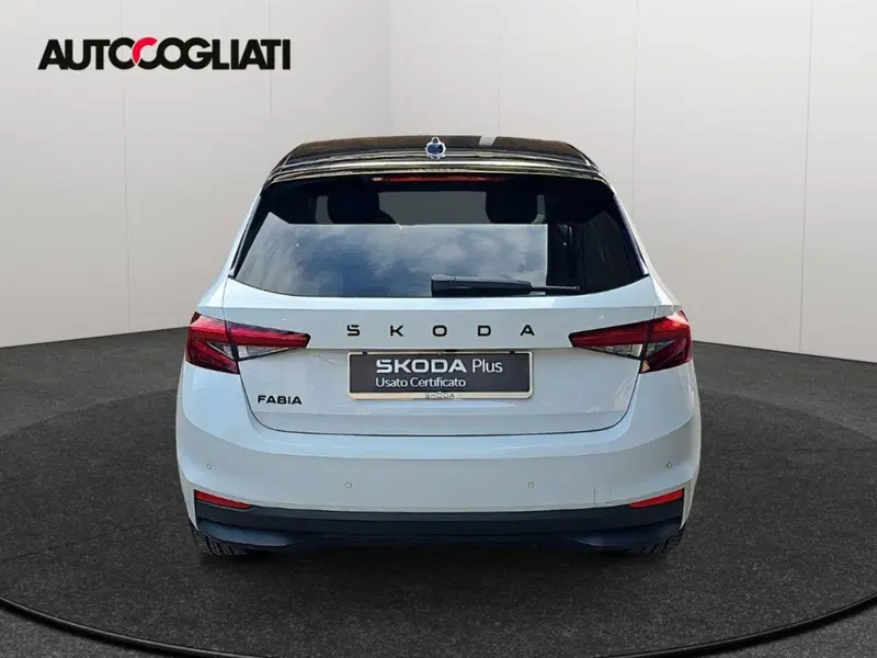Skoda Fabia usata a Lecco (6)