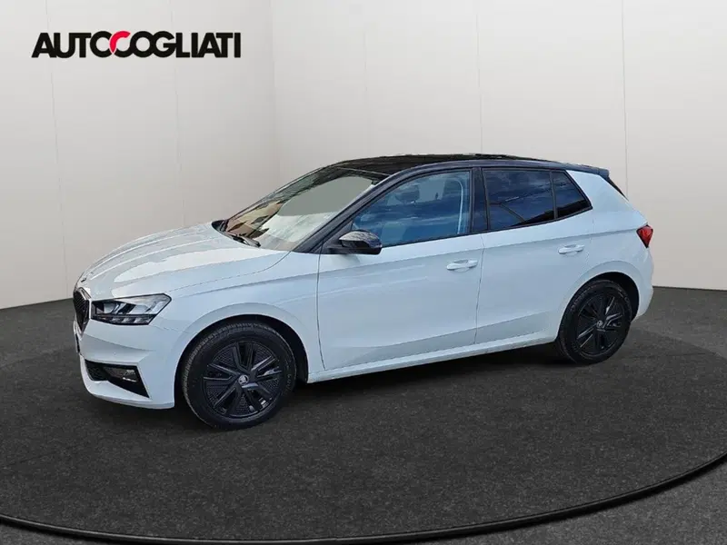 Skoda Fabia usata a Lecco (7)