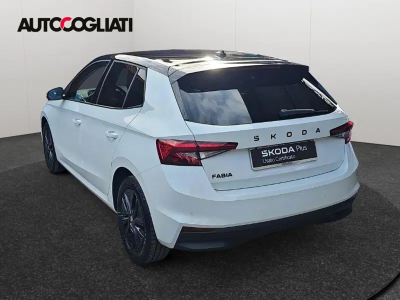 Skoda Fabia usata a Lecco (8)