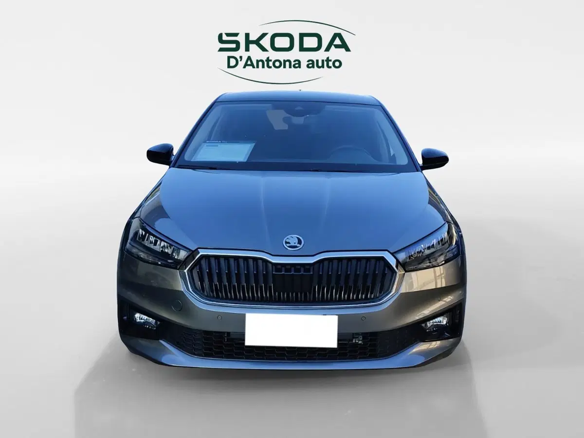 Skoda Fabia usata a Taranto (5)