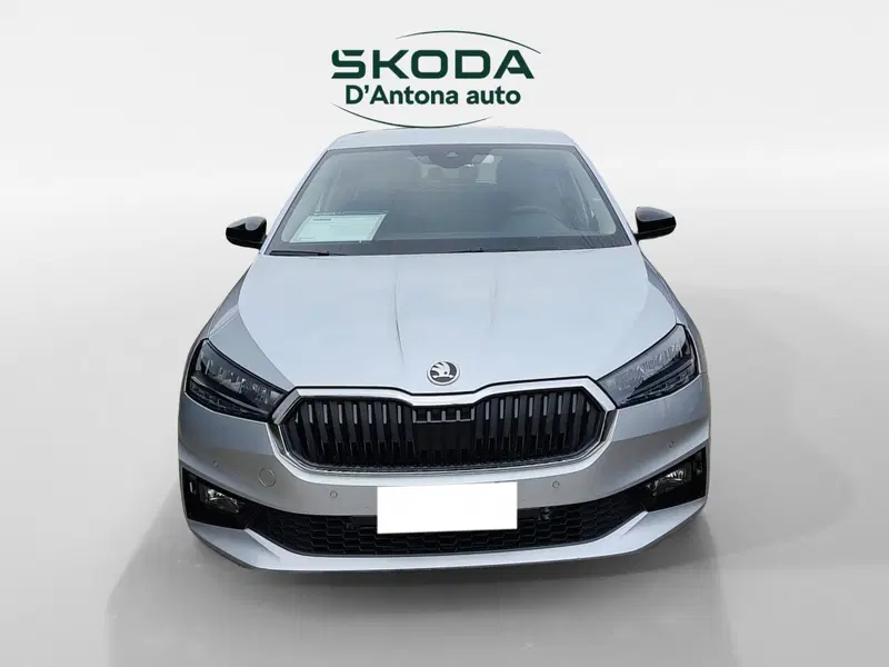 Skoda Fabia usata a Taranto (2)