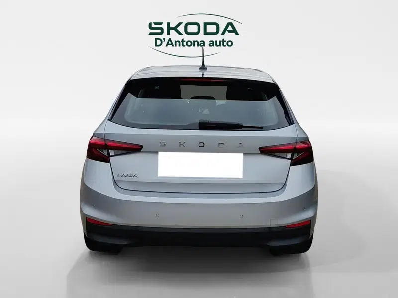 Skoda Fabia usata a Taranto (5)
