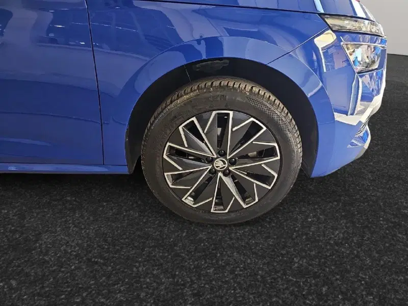 Skoda Kamiq usata a Lecco (16)